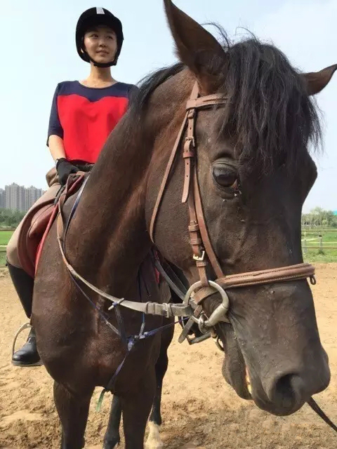 王思思业余爱好骑马