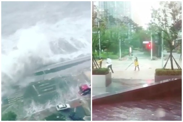 釜山、济州岛等地因芙蓉台风传出严重灾情