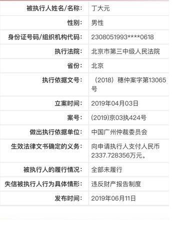 　中国执行信息公开网显示，丁大元被列为失信被执行人。网页截图